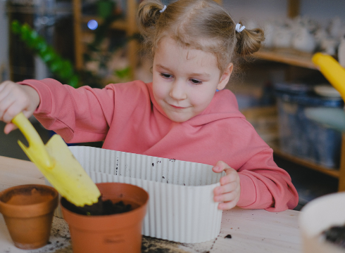 Design a Garden